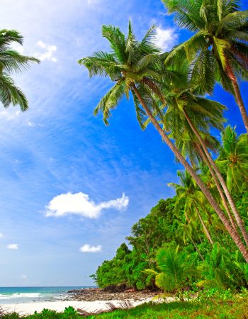 shutterstock_39444139